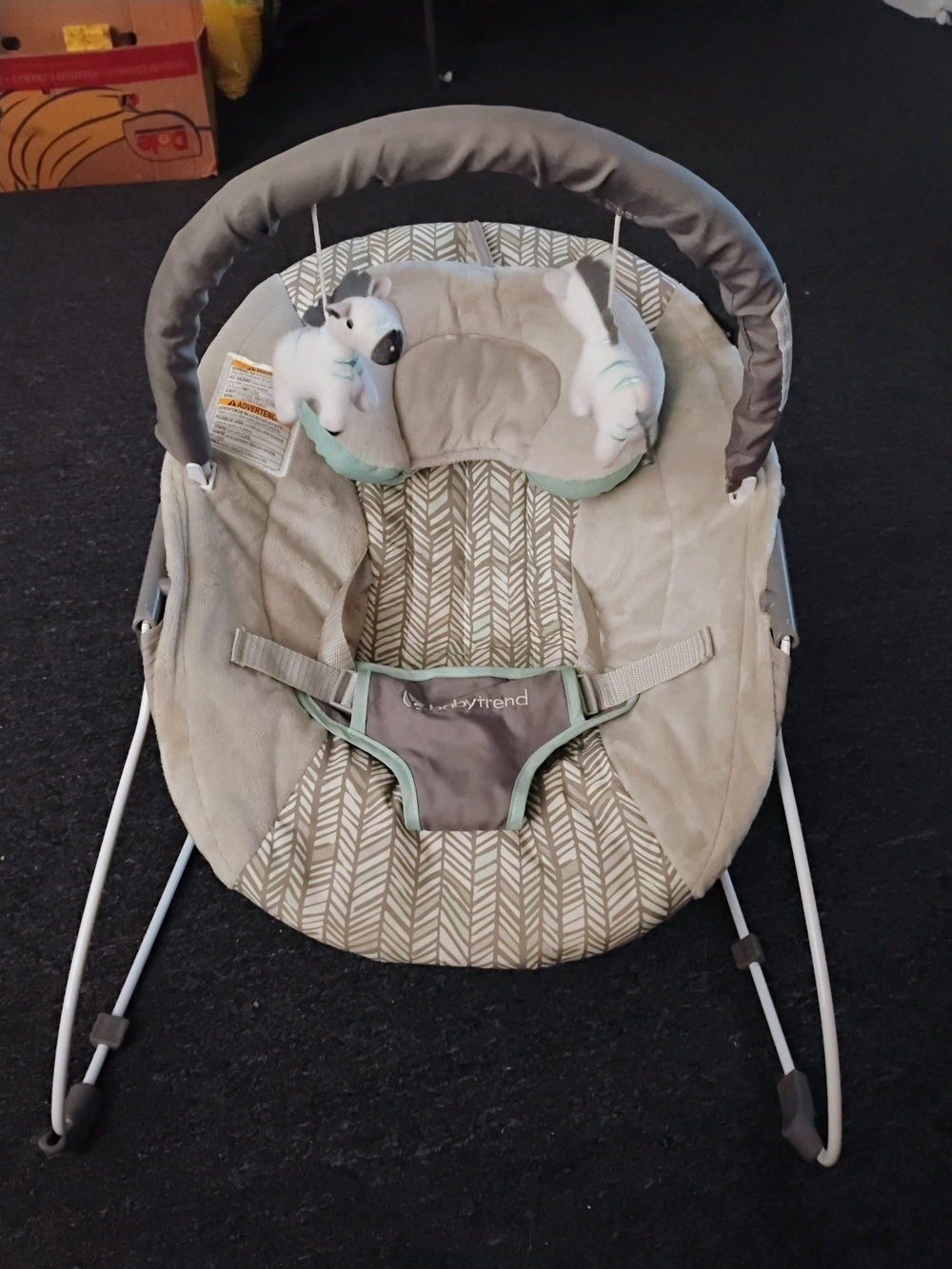 EasyTrend Gray & Green Baby Bouncer with Plush Toy Bar